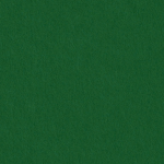 Colorplan 270г/м2. Ярко-зеленый без тисн